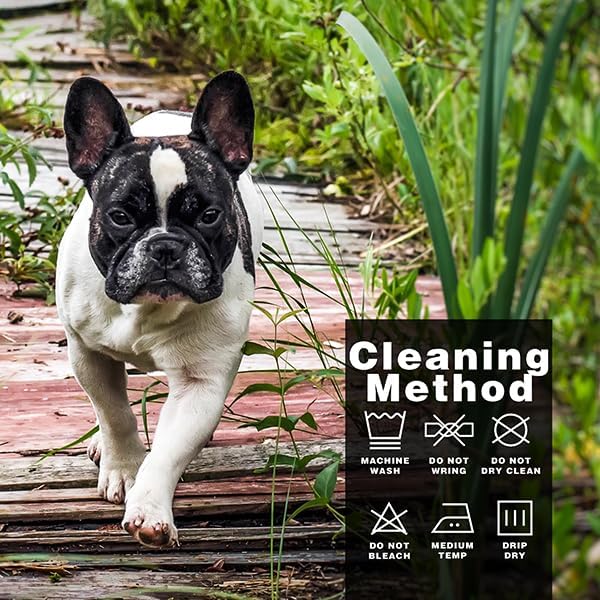Paiaite Dog Clothes Fashionable Sleeveless Pet Vest: 'Little Miss Sassy' Printed Cotton Dog Shirt, Ideal for Small, Medium, and Large Breeds, Ensuring Comfort and Breathability Orange XS