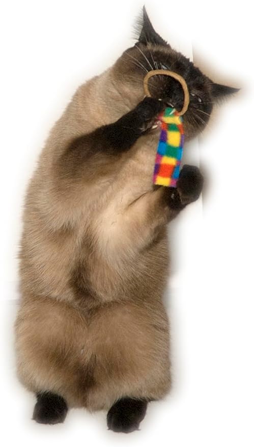 Cat Dancer Ringtail Chaser Combo - Fun and Fitness for Playful Cats. Includes One Original Toy, and One Original Cat Chaser.