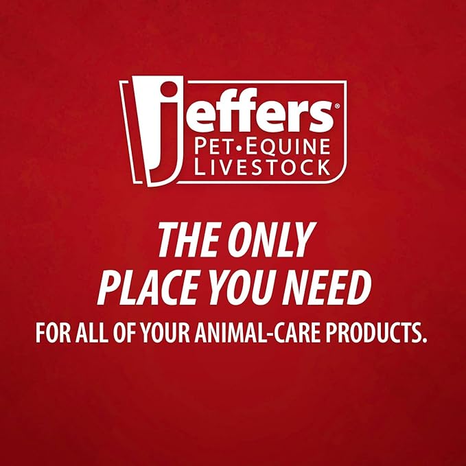 Jeffers Feed Scoop for Horses, Livestock, Pets, Chickens, Goats – 5 Pint 2.5 Quart Heavy-Duty Plastic Grain Scoop – Durable Farm Tool for Animal Feed, Barn, Stable, Garden, Dog Food - Black