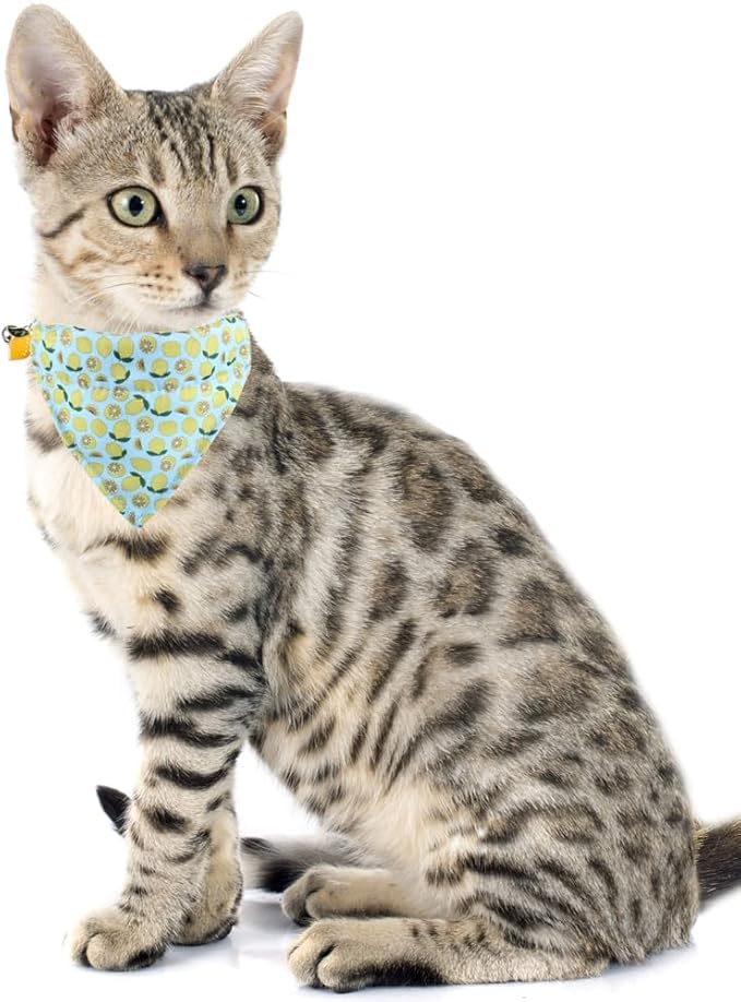 Cat Collar Breakaway with Cute Bow Tie Bandana and Bell Fruits Accessories for Kitty Adjustable Safety