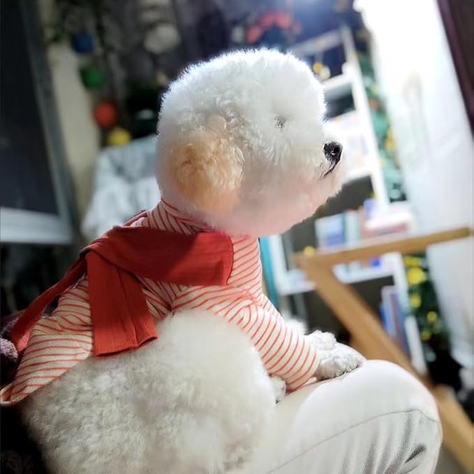 Soft Puppy Stripe Dog Shirts Pet Apparel Cat Tee Dog Sweatshirt Pet Breton Top Pet Clothes for Small Dogs (Orange Red, Small)