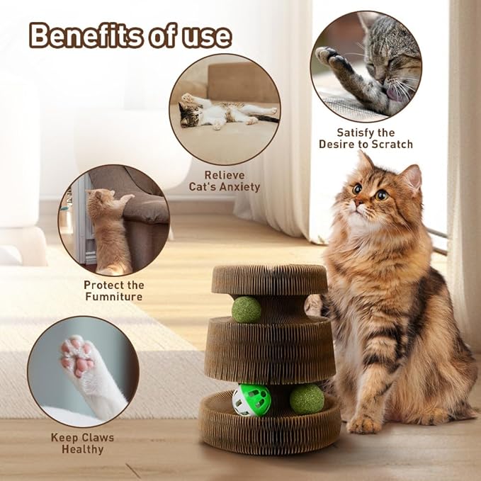 Cat Toys for Bored Indoor Adult Cats, Magic Organ Scratching Board, Reversible Interactive Toy Scratching with Catnip Ball, Cardboard,Kitten Scratcher Pads(1PC)