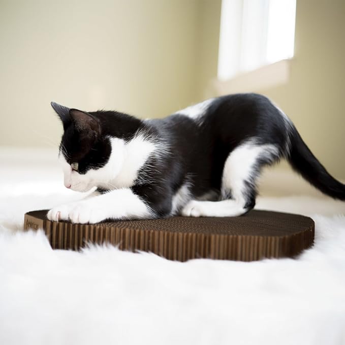 Cat Scratcher by Americat – Made in USA Cardboard Scratching Pad & Lounger – X Large, 2-Sided, Heavy, No-Shedding, Long-Lasting (Rectangle)