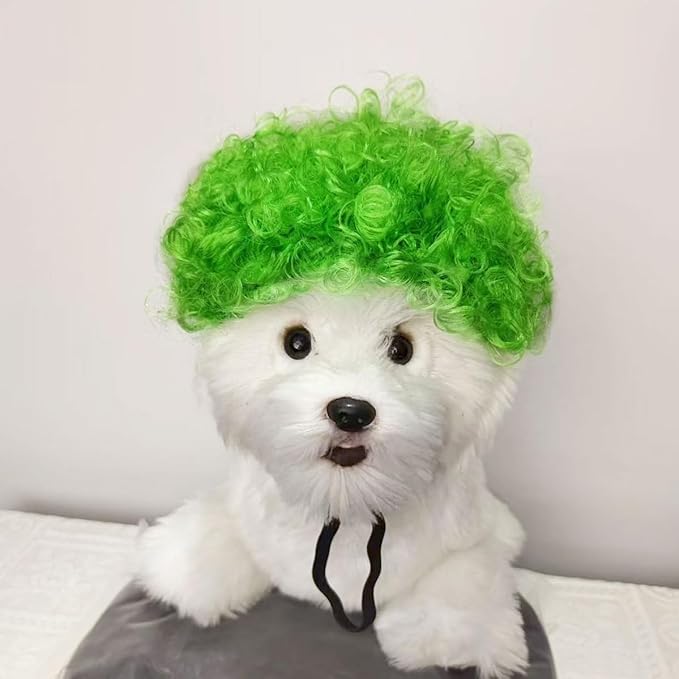 Psivika Pet Wigs Funny Dog Cat Cosplay Wig Pet Costume Cat Cosplay Decoration for Halloween, Christmas, Parties, Festival (Green)