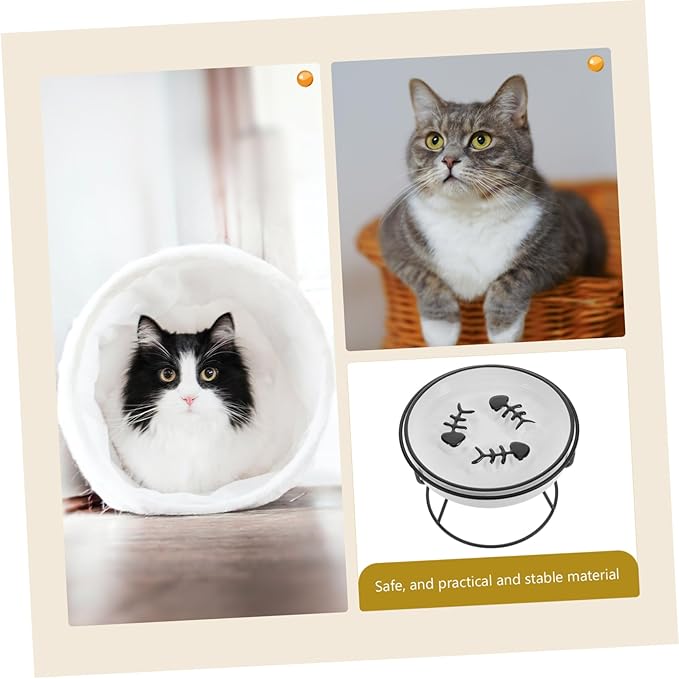 Abaodam Raised Cat Bowl Food Feeding Station Slow Eating Ceramic Cat Dish with Elevated Stand Pet Feeder for Small and Kittens