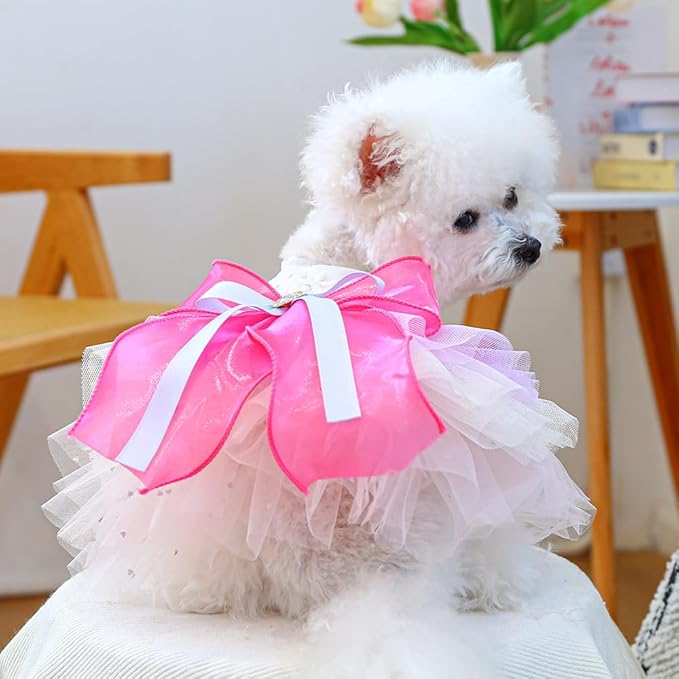 ANIAC Fancy Small Dog Dress, Bow Knot Girl Puppy Clothes, Cat Princess Dress, Spring Dog Clothes Female, Formal Pet Pary Outfit for Wedding Birthday Valentines (Red Bow, Large)