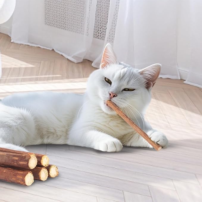 Kyouki Cat Toys Cat Chew Toys, Silvervine Sticks Catnip Rope Toys for Cats Teeth Cleaning, Kitten Dental Care, Kitty for Indoor Cats Increase Appetite,Enhances Oral & Dental Health (21 Pack)
