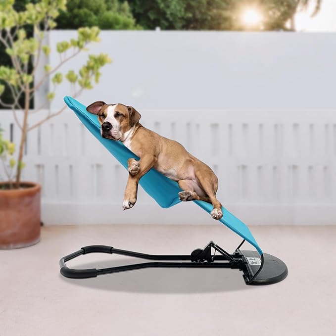 Pet Rocking Chair Solid Color Breathable Dog Bed Chair Portable Foldable Dog Cat Chair for Small Pets Weighing Less Than 33.07 lbs, 3 Levels Adjustable Height, Washable&Removable (Blue)