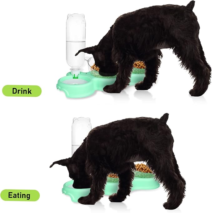 Toddmomy 3-in-1 PET Bowls for Cats and Dogs Multifunctional Feeding and Water Bowls with Automatic Water Bottle Plastic PET Dishes