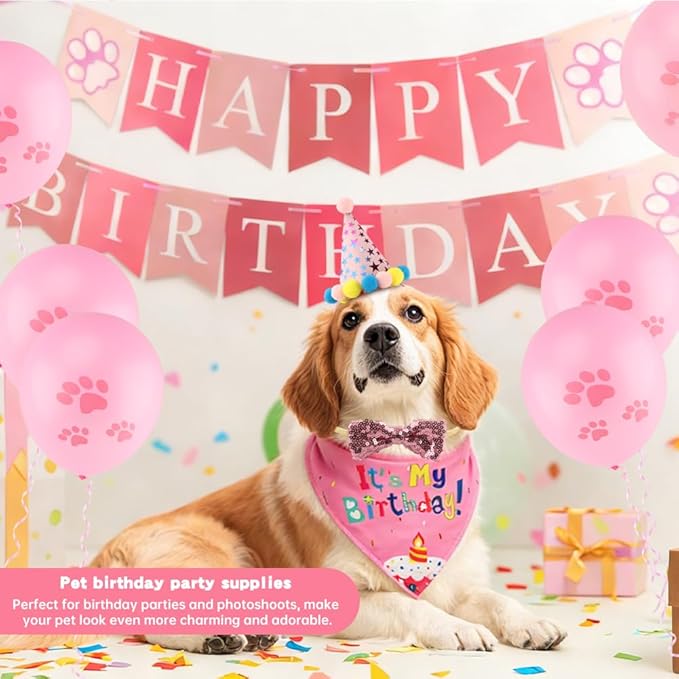 Cat Birthday Decorations Set - Cute Birthday Outfit with Hat, Bandana, Bow Tie, Balloons & Number Stickers for Kittens/Cats Party Photo Props & Festive Supplies