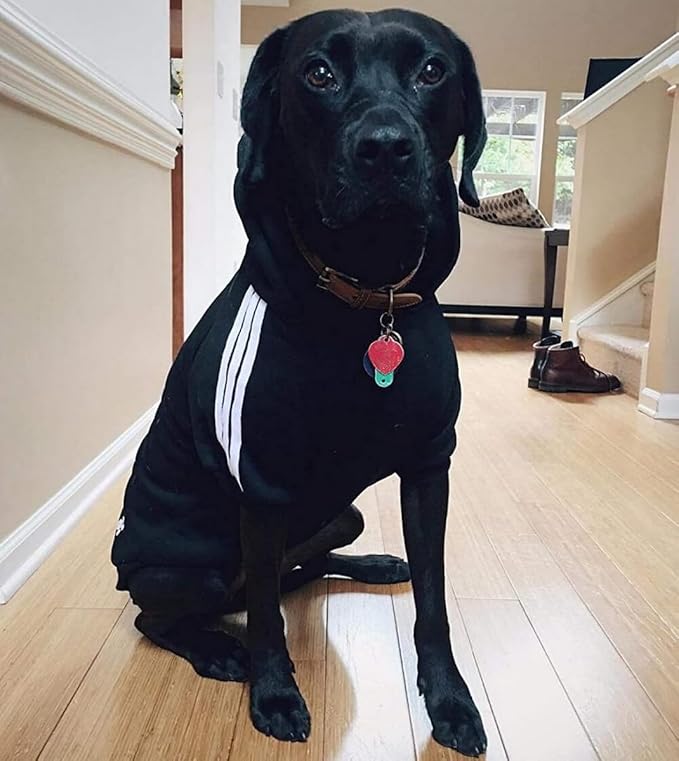 Cute Dog Hoodie Sweater Pullover Tracksuit Jacket Winter Cold Weather Coat Clothes Clothing 2-Legs Black for Cat Puppy Small Medium Big All Type Dogs (5X-Large)