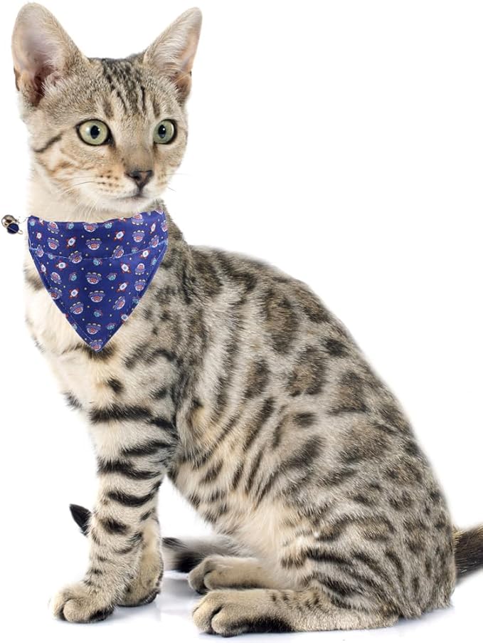 Cat Collar Breakaway with Cute Bow Tie Bandana and Bell Universe Accessories for Kitty Adjustable Safety