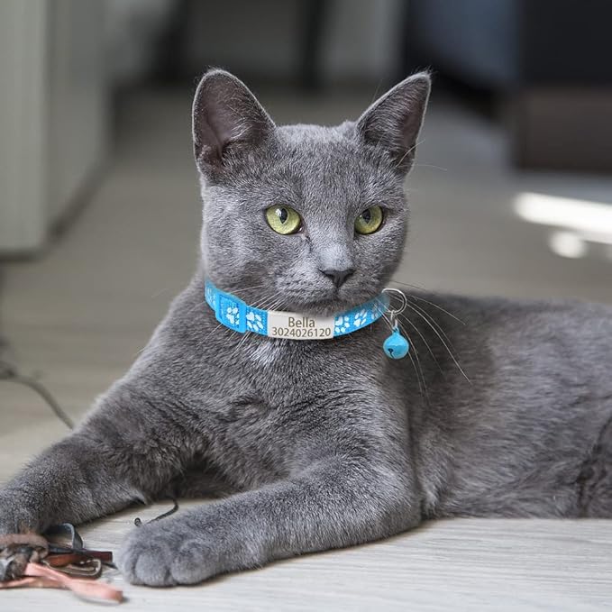 Personalized 2 Pack Reflective Cat Collar,Custom Breakaway Cat Collars with Name Tag and Bell,Anti-Lost Nameplate Cat Collar for Girls & Boys (Light Blue,fit 8''-11.0'')