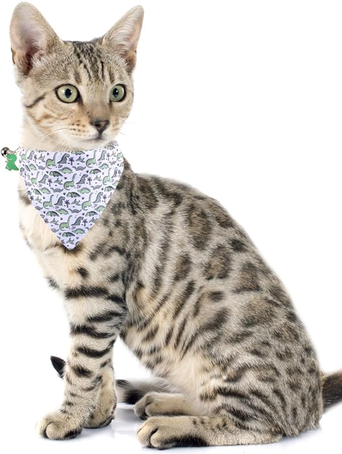 Cat Collar Breakaway with Cute Bandana and Bell Accessories for Kitty Adjustable Safety