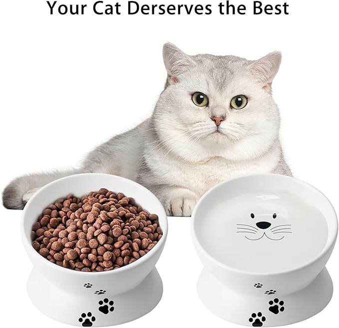 Cat Food Bowls, 10 OZ Elevated Cat Bowls for Cats and Small Dogs, Tilted Pet Feeder Bowl with Raised Stand Protect Cat's Spine, Ceramic Cat Water Bowl No-Spill, Stress Free Cat Dish 2pcs