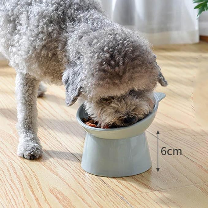 Non-Slip Cat Bowls with Raised Stand Oblique Pet Food Water Bowl for Cats Dogs Pet Water Drinking Feeder Pet Products
