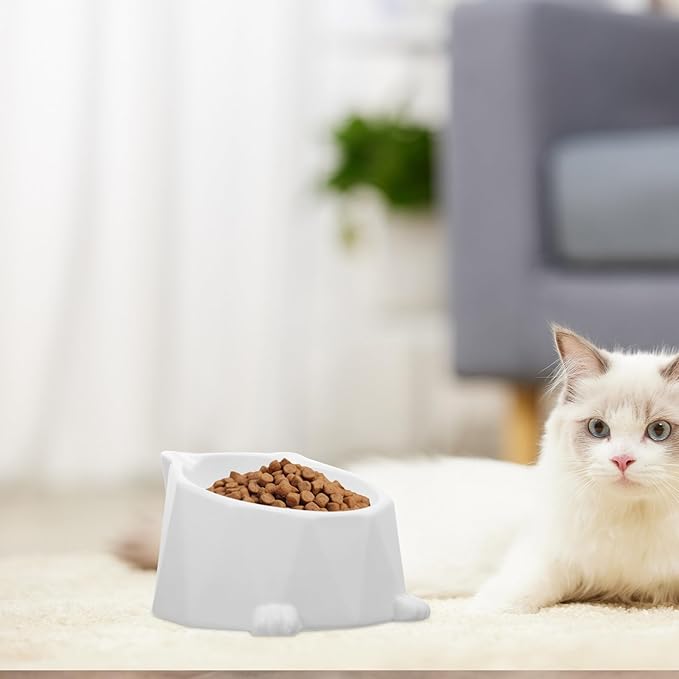 Elevated Ceramic Cat Bowl with Raised Stand, Anti-Spill Food and Water Dish for Cats and Kittens, White Floor Pet Bowl Suitable for Daily Feeding and Spine Protection