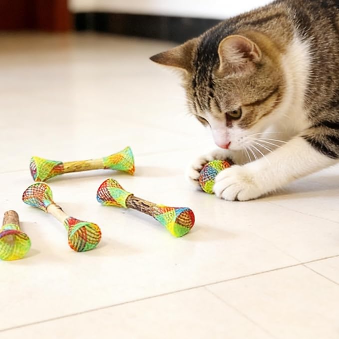IUHKBH Cat Fun Tubes with Silvervine Sticks, 6 PCS Spring Toy Mesh Tubes Kitten Toys Self-Play Interactive Cat Toys for Swatting, Biting, Hunting & Chewing