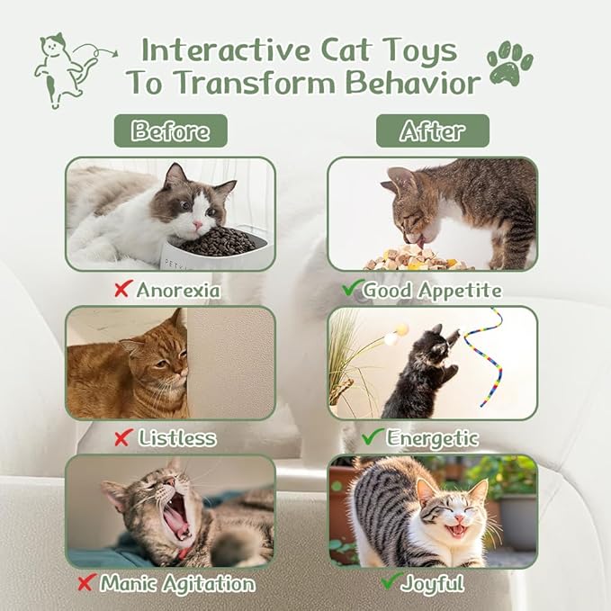 Cat Toys 40 Pack - Interactive Variety Set for Cats & Kittens with Cat Wand Toys, Feather Toys, Crinkle Balls, Springs & Silvervine Sticks to Reduce Anxiety & Destructive Behaviour