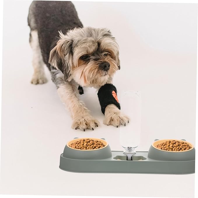Automatic Pet Feeder Dog Food Dispenser Portable Water Bowl Bite-Resistant Compact Style