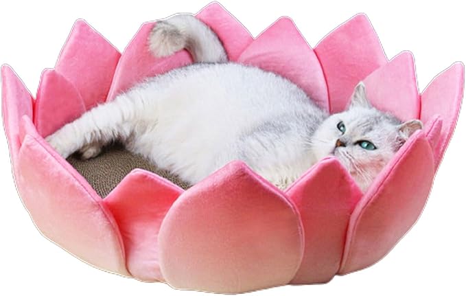 Scratcher Toy LotusShape Scratching Board Scratching Toy Kitten Scratcher Bed Toy Furniture Protector Pet Favor Gift Scratcher Bowl Bed Scratcher Scratching Post Scratching Board