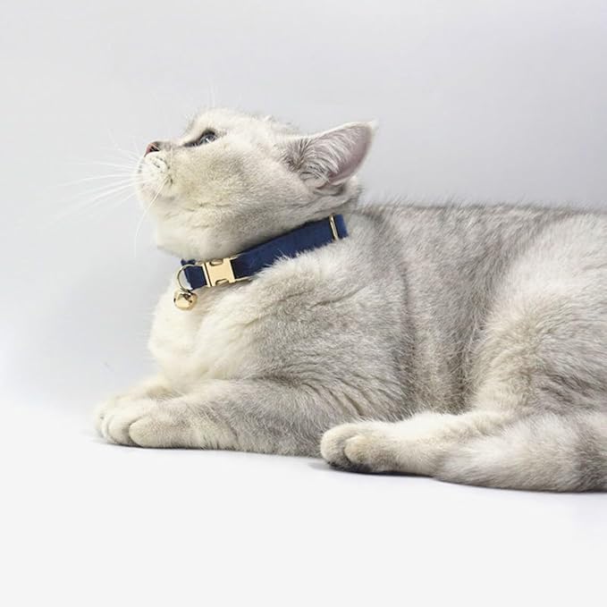 Personalized Cat Collar with Bell, Engraved Text and Icon, Matching Bow Tie Option, Fancy Velvet Pet Collar with Metal Buckle, Options, Custom Gift for Kitten