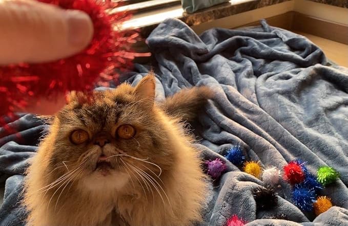 100PCS 1.5 INCH Cat Toy Balls Extra Large Sparkly Cat's Favorite Chase Glitter Ball Toy Sparkle Pom Pom Balls