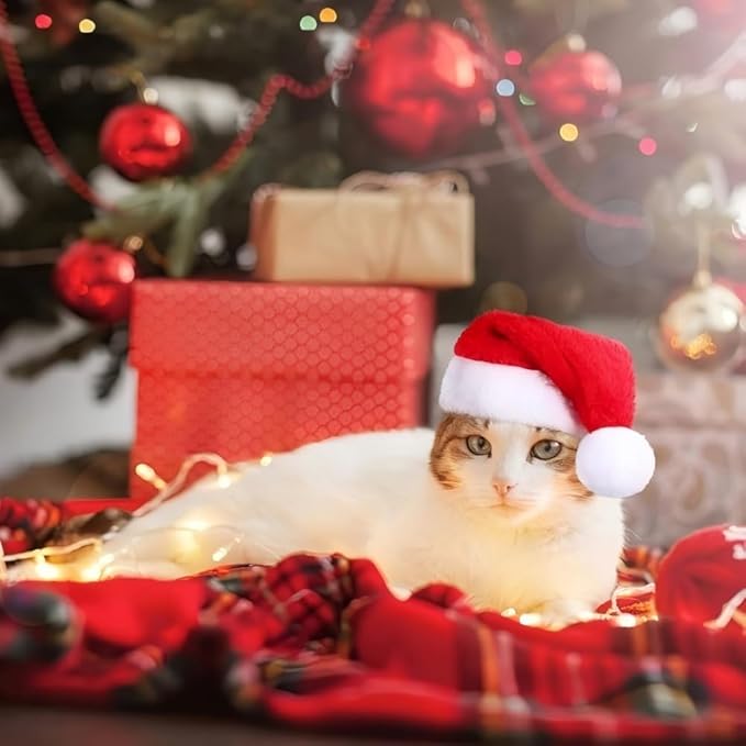 Adjustable Pet Santa Hat for Dogs Cats, Christmas Costume Hat for Puppy Kitten Holiday Party