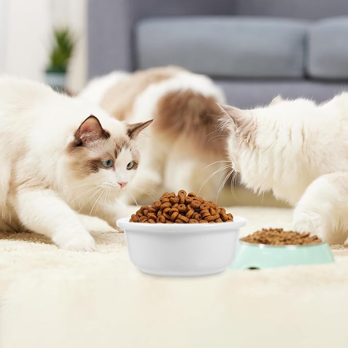 Uonlytech Ceramic Cat Bowl Pet Feeding Dish Reusable Food Holder Single Rice White Bowl for Cats and Kittens