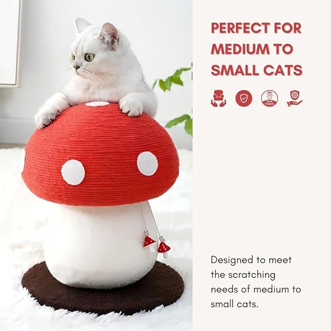 No Assembly Required Mushroom Cat Scratcher, Cute Cat Scratching Post with Natural Sisal Rope, Stable Base & Hanging Toy, Small Space Kitten Tree for Indoor Cats, Claw Care Scratch Pole