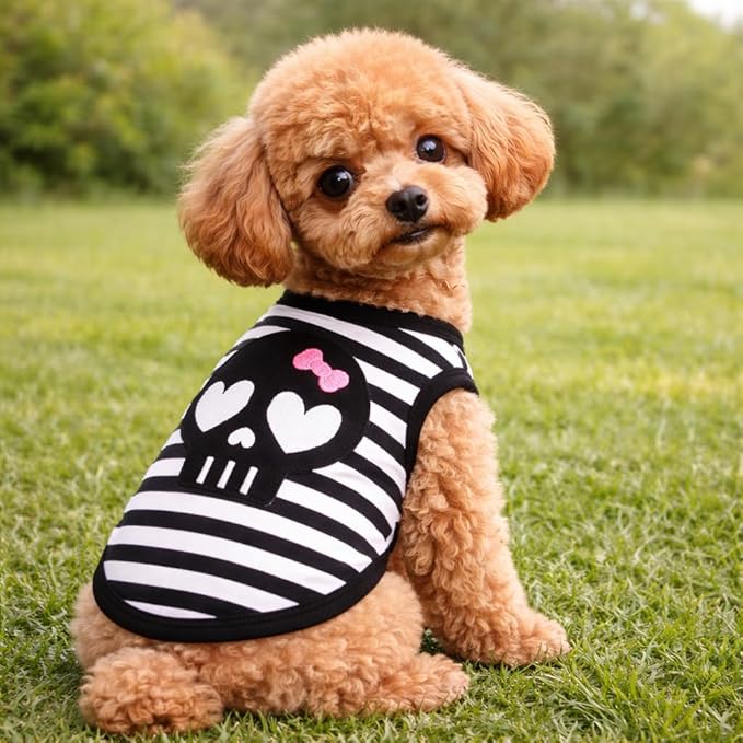 Petitebella Black Skull Face Puppy Dog Shirt (Stripes, X-Small)