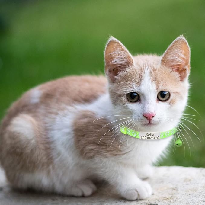 Personalized 2 Pack Reflective Cat Collar,Custom Breakaway Cat Collars with Name Tag and Bell,Anti-Lost Nameplate Cat Collar for Girls & Boys (YG Green,fit 8''-11.0'')