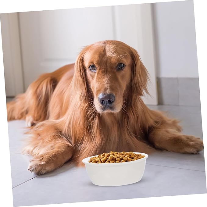 Gadpiparty 2Pcs Ceramic Pet Bowls Set for Dogs and Cats, Puppy Feeder and Cat Drinking Bowl, Bone and Fishbone Design, Suitable for Small Pets Feeding and Watering