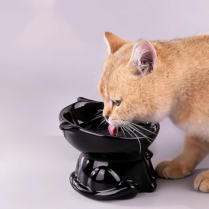 Elevated Cat Food Bowl, Raised and Tilted Water Bowl, Anti Vomiting and Protect Pets' Spines Dishes for Small Dog, Fat Faced Cat, Kitten (Black)