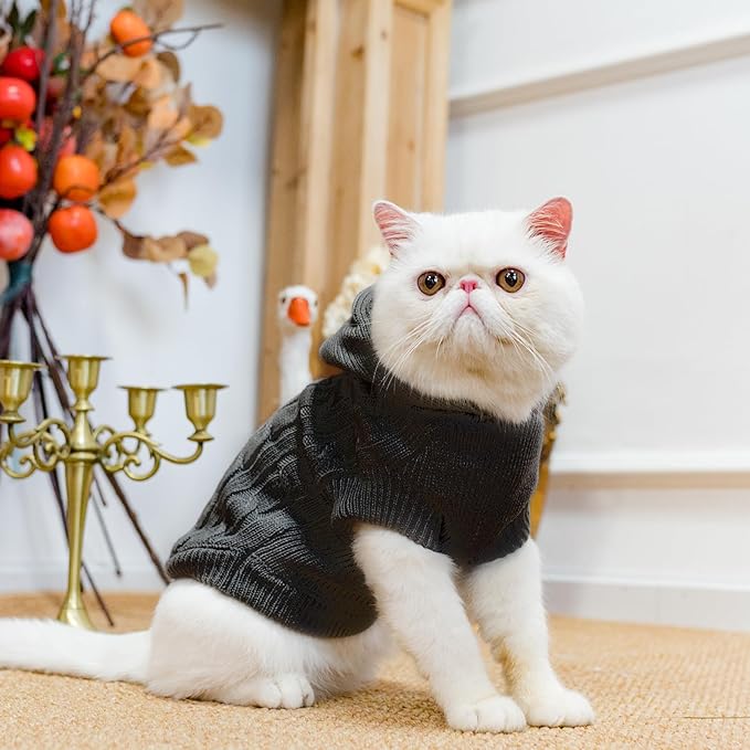 PUPTECK Winter Dog Cat Sweater Coat - Soft Cold Weather Clothes Knitwear for Kitties & Small Dogs Indoor Outdoor Walking Warm, Knitted Classic for Doggies Kitties Girls Boys, Black L