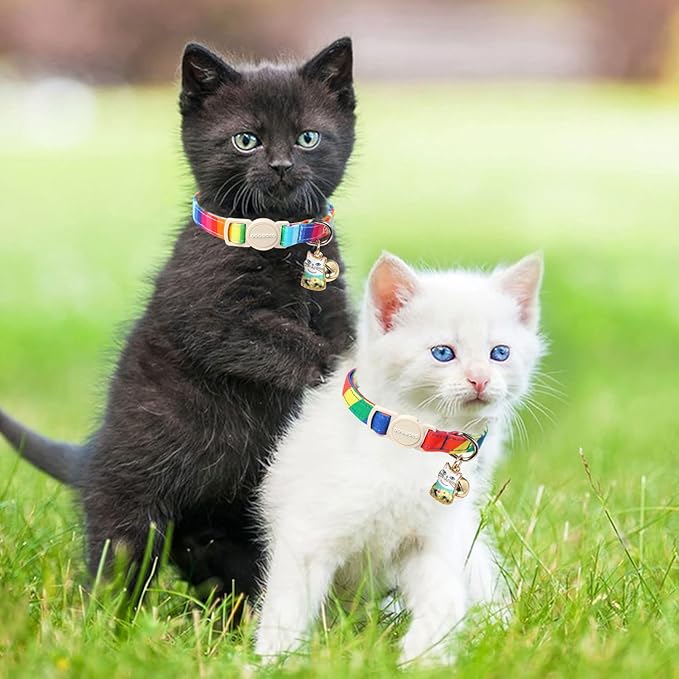 Cat Collar,2 Pack LGBT Cat Collars Breakaway with Bell, DOGWONG Safety Buckle Cat Collar for Girl Boy Cats and Small Dogs,Adjustable Kitten Collar 7-12 Inch,Pet Supplies Accessories