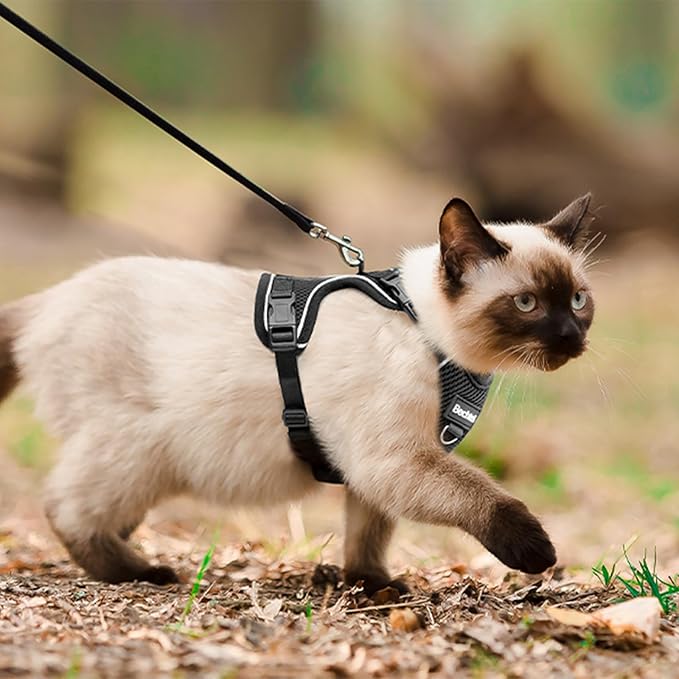 Cat Harness, Cat Harness and Leash for Walking, Adjusted in Four Directions and Breathable Cat Harness for Anti Escape that can be Fitted and Positioned, Reflective Strips Harness, Black, L