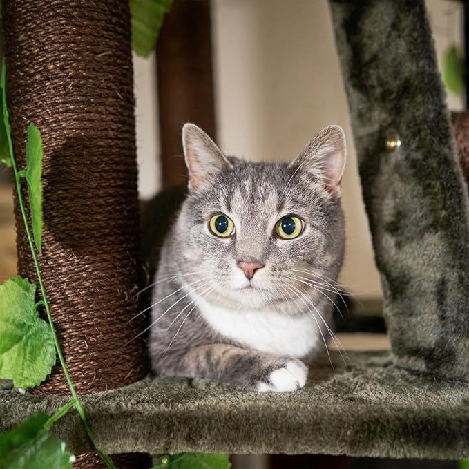 CozyCatFurniture 75" Tall Cat Tree for Multiple Cats with Condo, Green Leaves, Sisal Rope, Climbing Ladder & Three Beds on Top