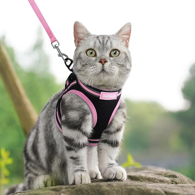 rabbitgoo Cat Harness and Leash Set for Walking Escape Proof, Adjustable Soft Kittens Vest with Reflective Strip for Cats, Comfortable Outdoor Vest, Black & Pink, L