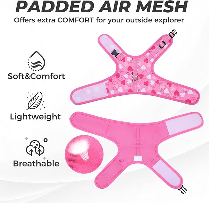 BINGPET Cat Harness and Leash Set Escape Proof for Walking,Step-in Harness with Lightweight Soft Breathable Mesh,Adjustable Easy Control Harness for Kitten Puppy Small Medium Large Cats(Heart,L)