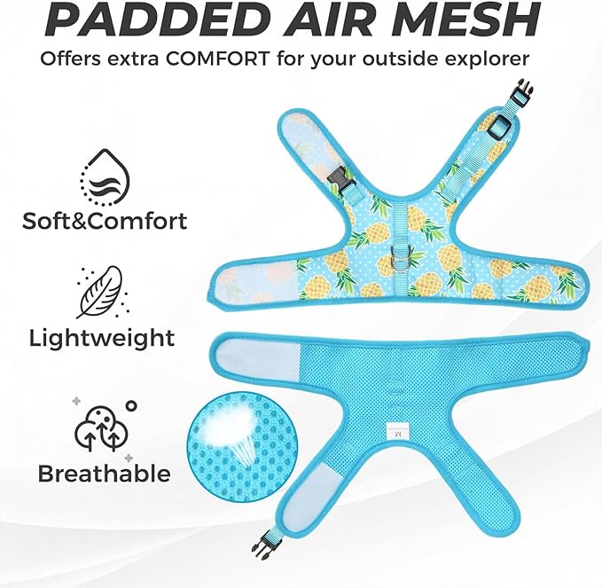 BINGPET Cat Harness and Leash Set Escape Proof, Fashionable Adjustable Mesh Harness for Walking, Soft Cute Breathable Easy Control Cat Vest for Kitten Puppy Small Medium Large Cats