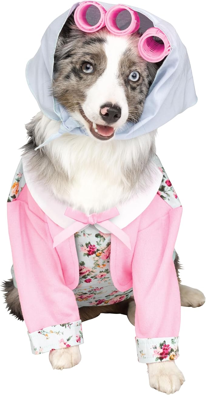 Fun World Grammy Pet Costume, Small