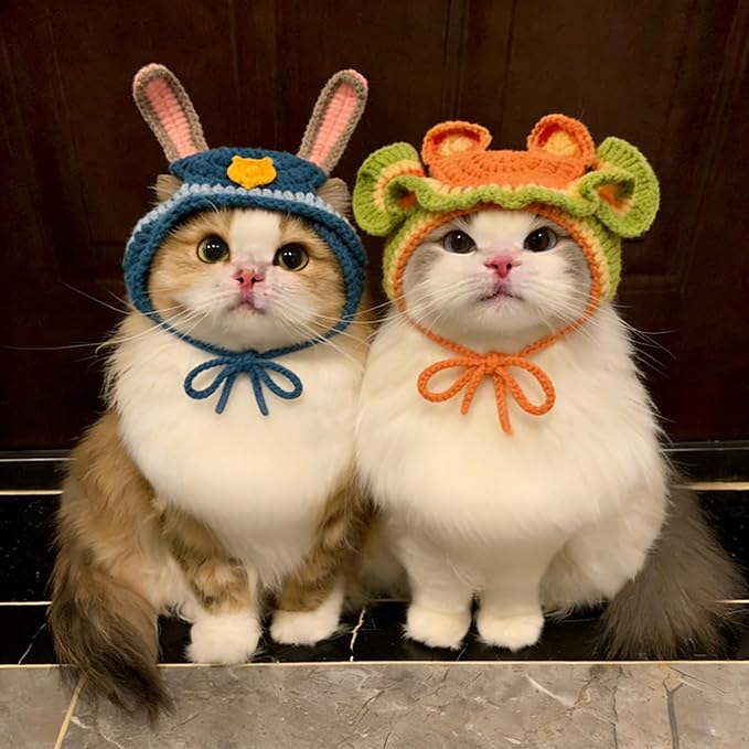 Cat Costumes Hat & Collar Set for Female Cats, Outfit Gift for Small Pets Birthday, Orange