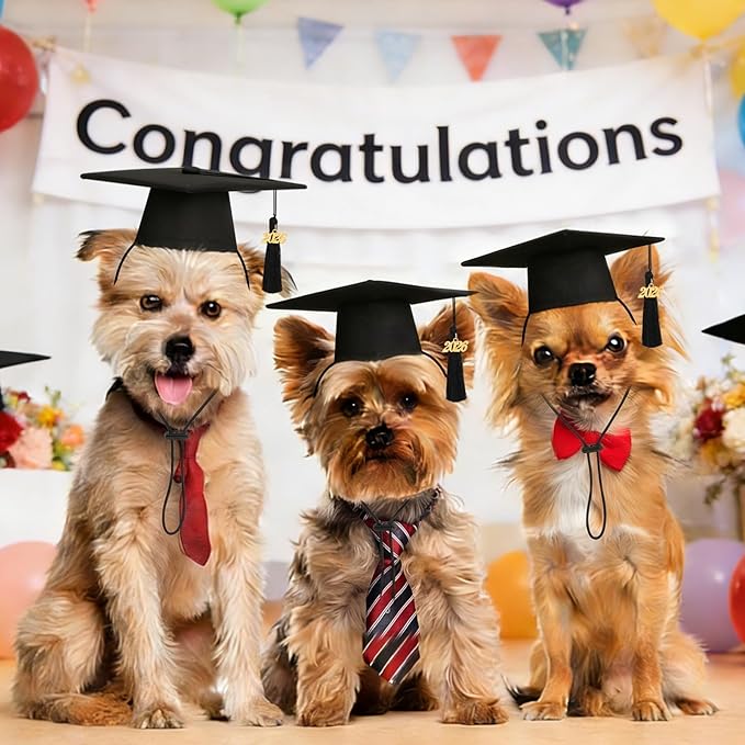 JULMELON Pet Graduation Caps with 2026 Black Tassels, Dog and Cats Graduation Hats Adjustable Mini Graduation Caps for AKC Graduation Photo Props Holiday Costume Accessories