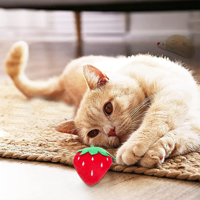 Catnip Toys for Indoor Cats 10 Pcs Small Plush Toys with Catnip Kitten Stuffed Toy