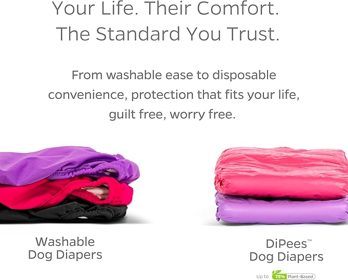 Pet Parents® Washable Dog Diapers (3pack) + Extendrs® of Durable Doggie Diapers, Premium Dog Diapers Female (Large, Samba)