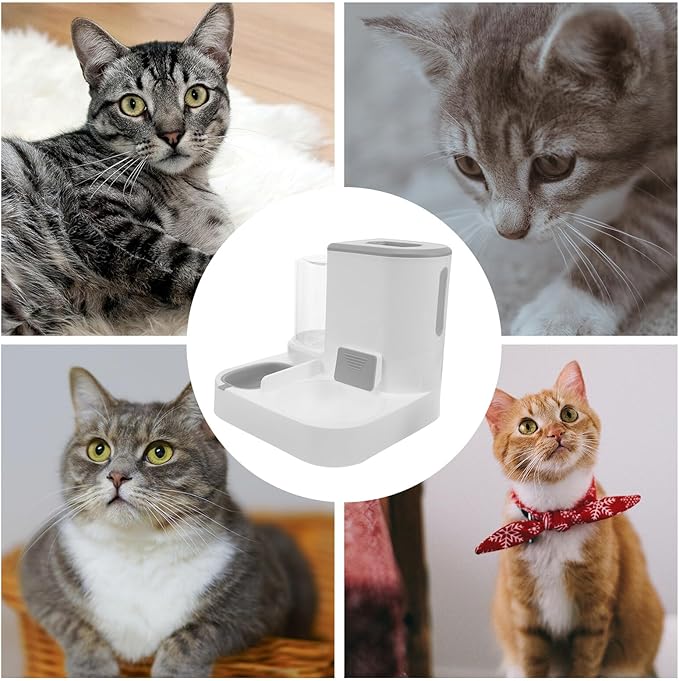 Automatic Pet Water and Food Feeder 5l Large Capacity Dry and Wet Separation Dog Cat Water Dispenser Gray for Indoor Use
