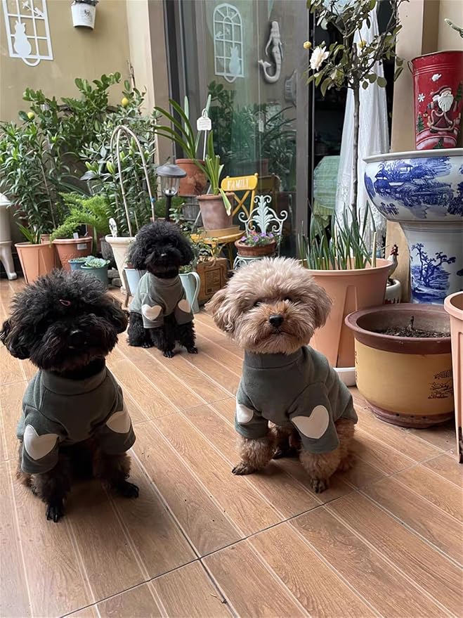 Small Dog Sweaters for Dogs Girls Boys, Heart Love Pattern Puppy Clothes, Puppy Pullover Outfit (Dark Green, Small)