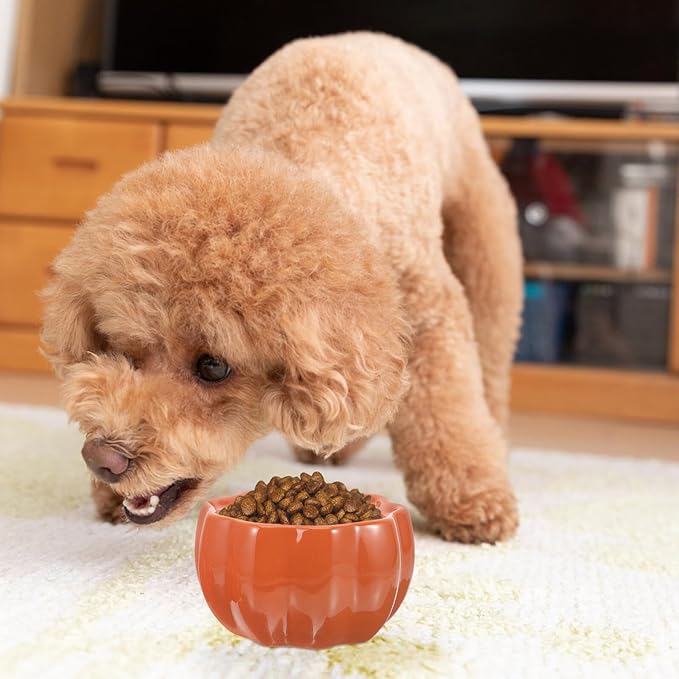 Ceramic Pumpkin Dog Bowl and Cat Feeding Bowl Set for Small Dogs and Cats Orange Color Protective Neck Design Suitable for Indoor Feeding and Watering