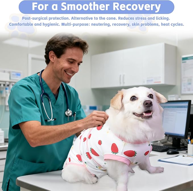 PET Glam Recovery Suit for Dogs Cats, After Surgery, Alternative E-Collar Dog CAT. PET Shirt Breathable Abdominal Wounds, Neuter Cotton, Prevent Licking Onesie Surgical (RED, L)